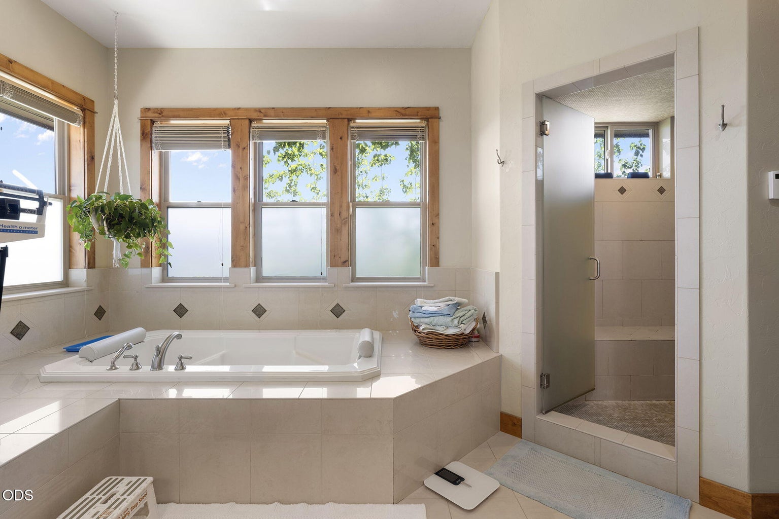 Primary Bathroom Soaking Tub and Large Shower with Bench