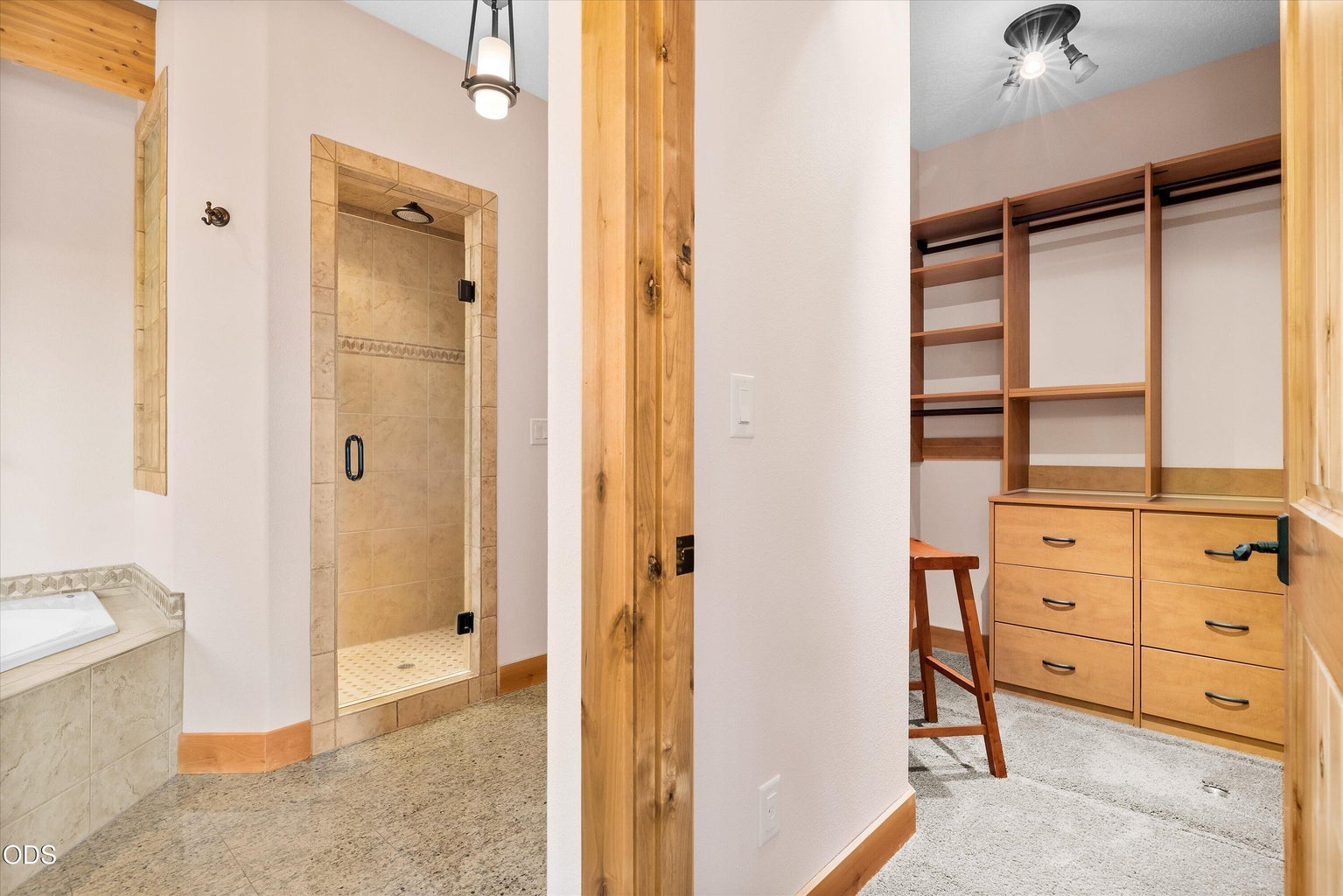 Walk-in shower, water closet, and walk-in closet