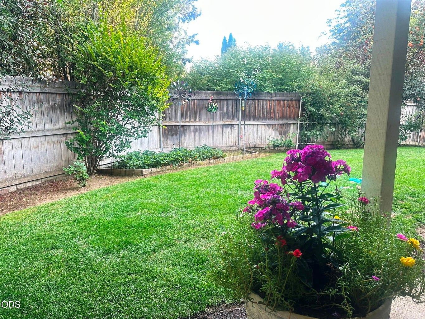 Expansive back yard is pleasant and makes you want to stay home.
