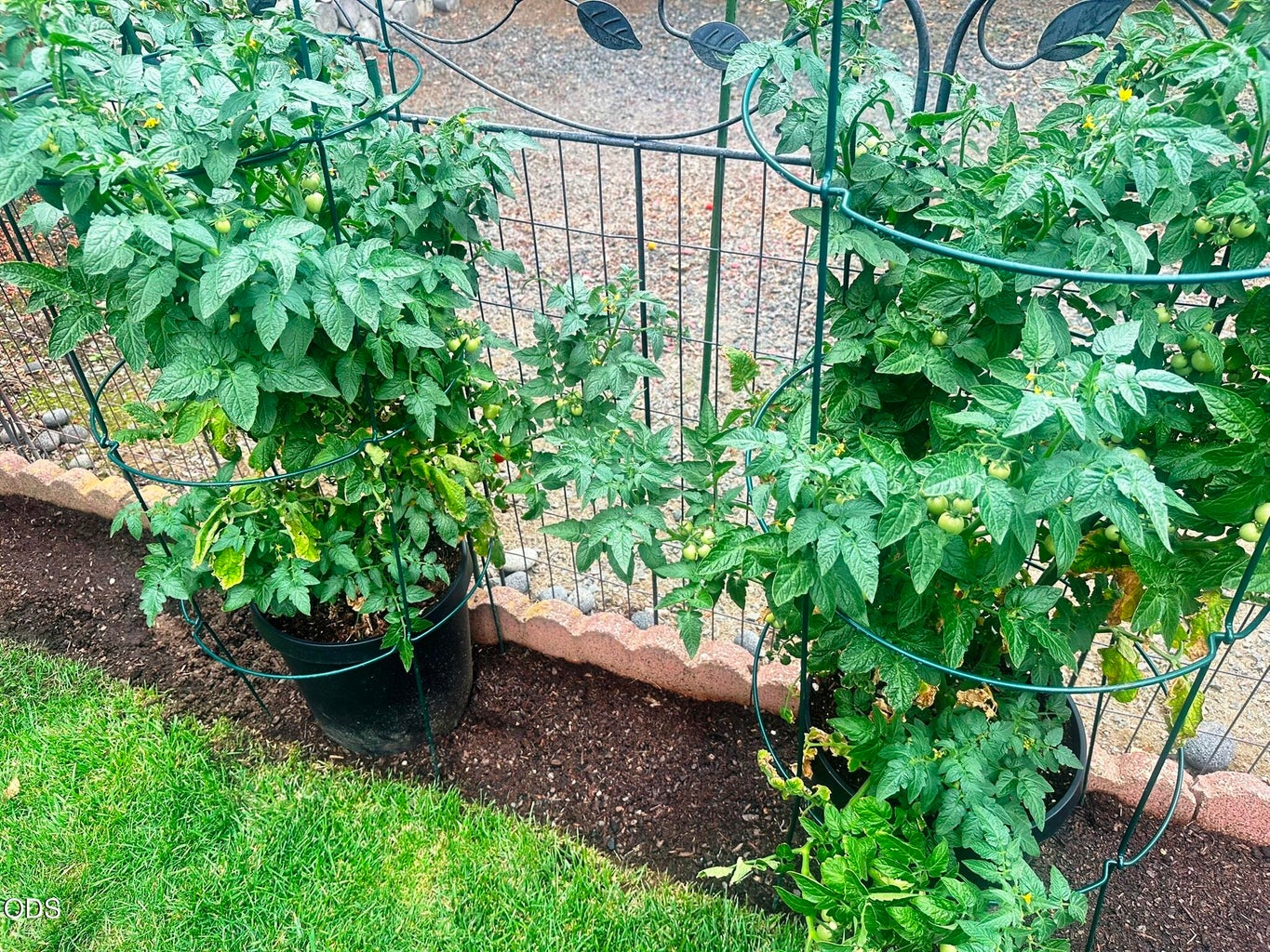 Home is where the food is growing. This is the spot in Bend for planting.