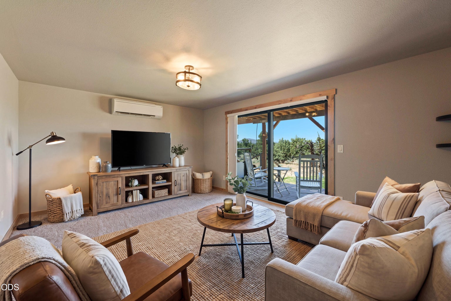 Virtually Staged - Downstairs Bonus Room
