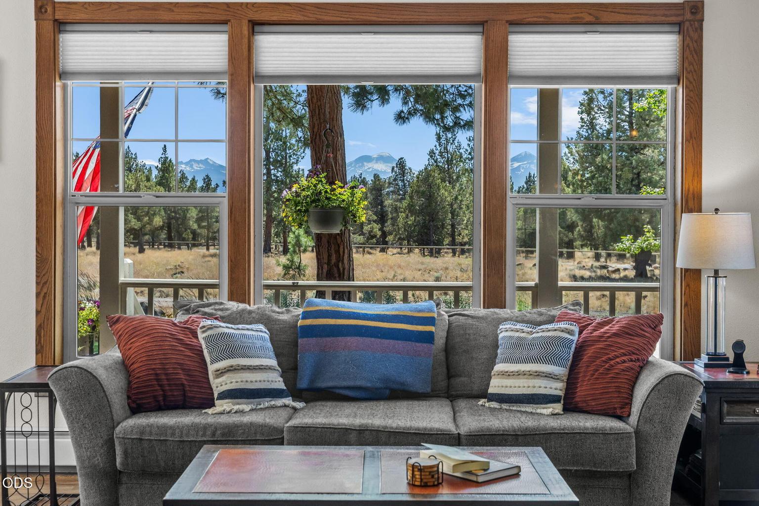 Mountain views from the Living room