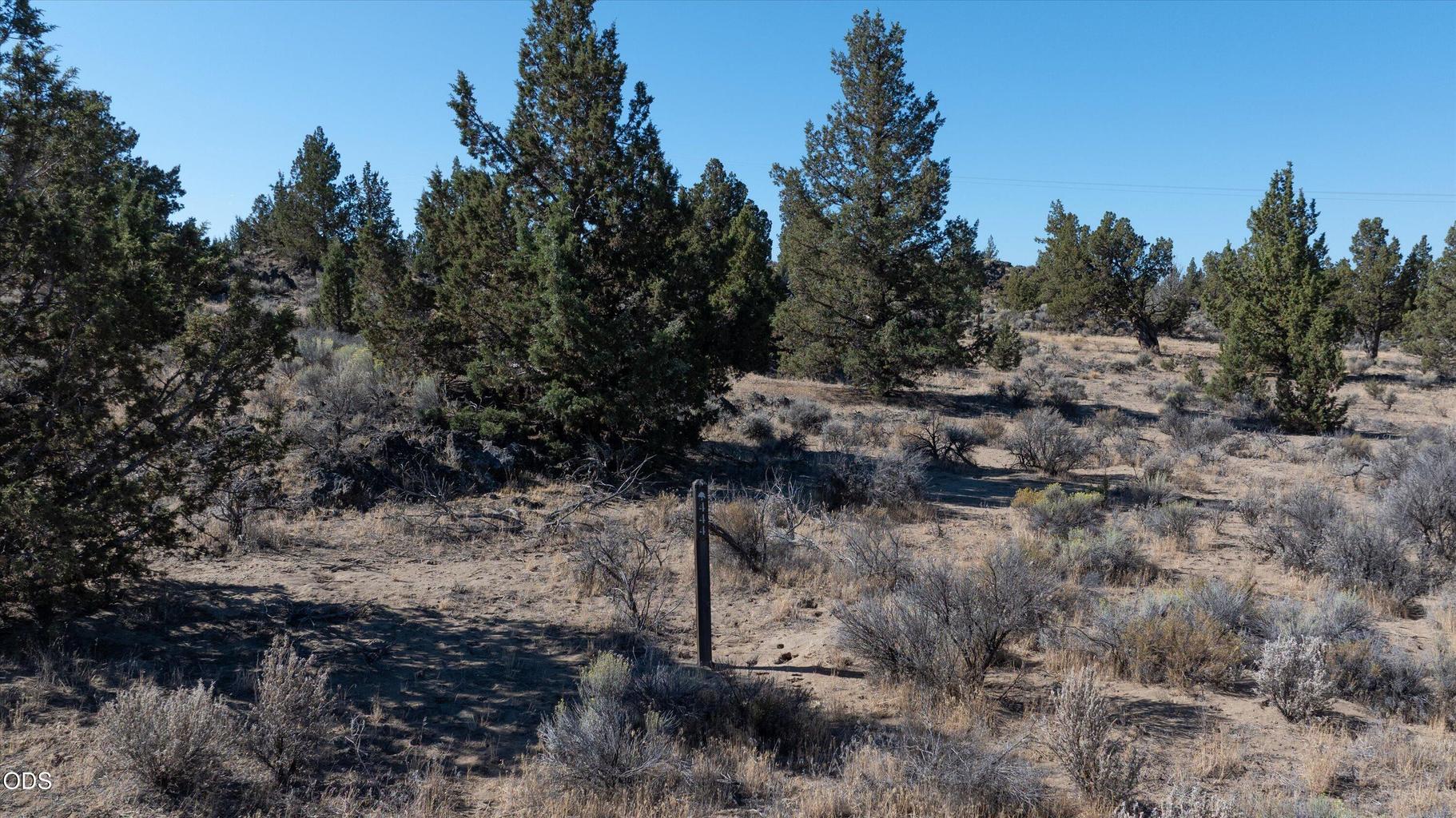 Photo of Chaparral Drive 1 of 8