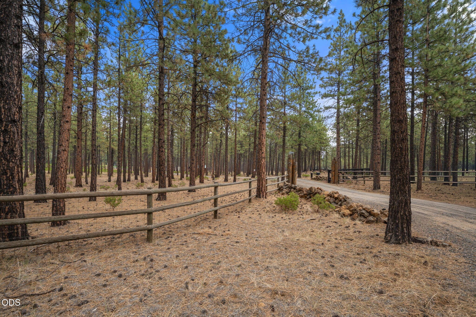 Photo of 14880 Chickaree Lane 27 of 116
