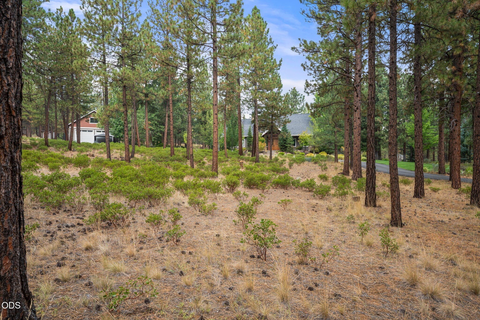 Photo of 14880 Chickaree Lane 39 of 116