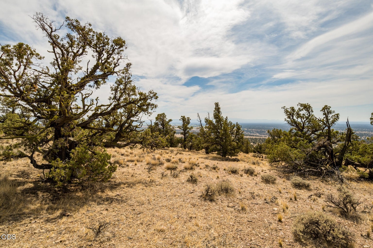Photo of SW Seven Peaks Loop 16 of 17
