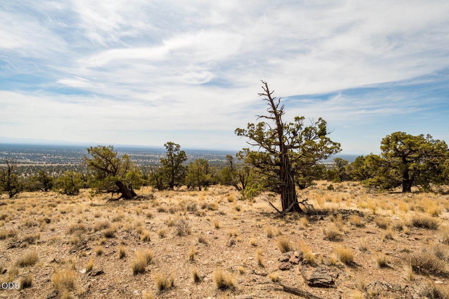 Photo of SW Seven Peaks Loop 17 of 17