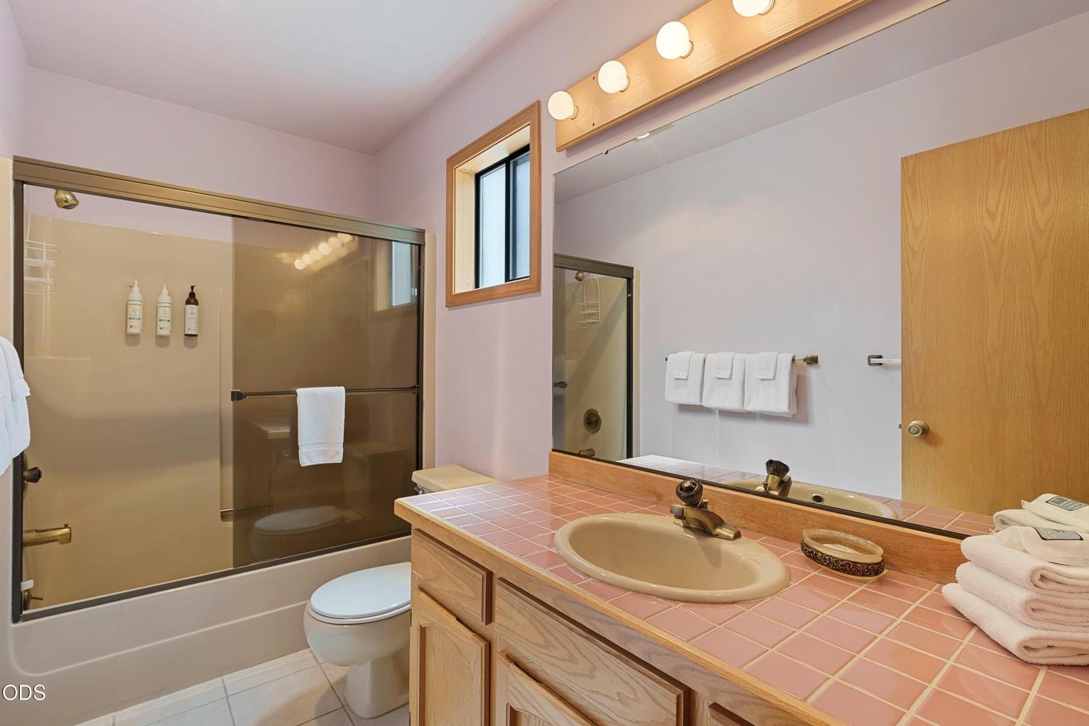 Lower level guest suite bathroom