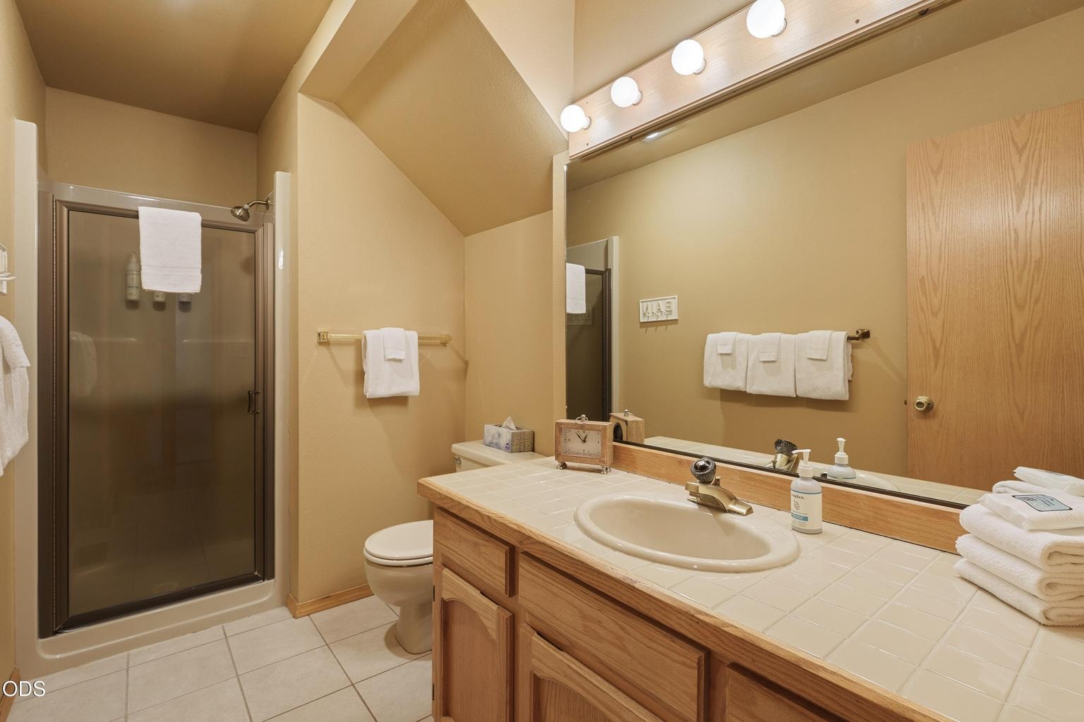 Lower level guest bathroom