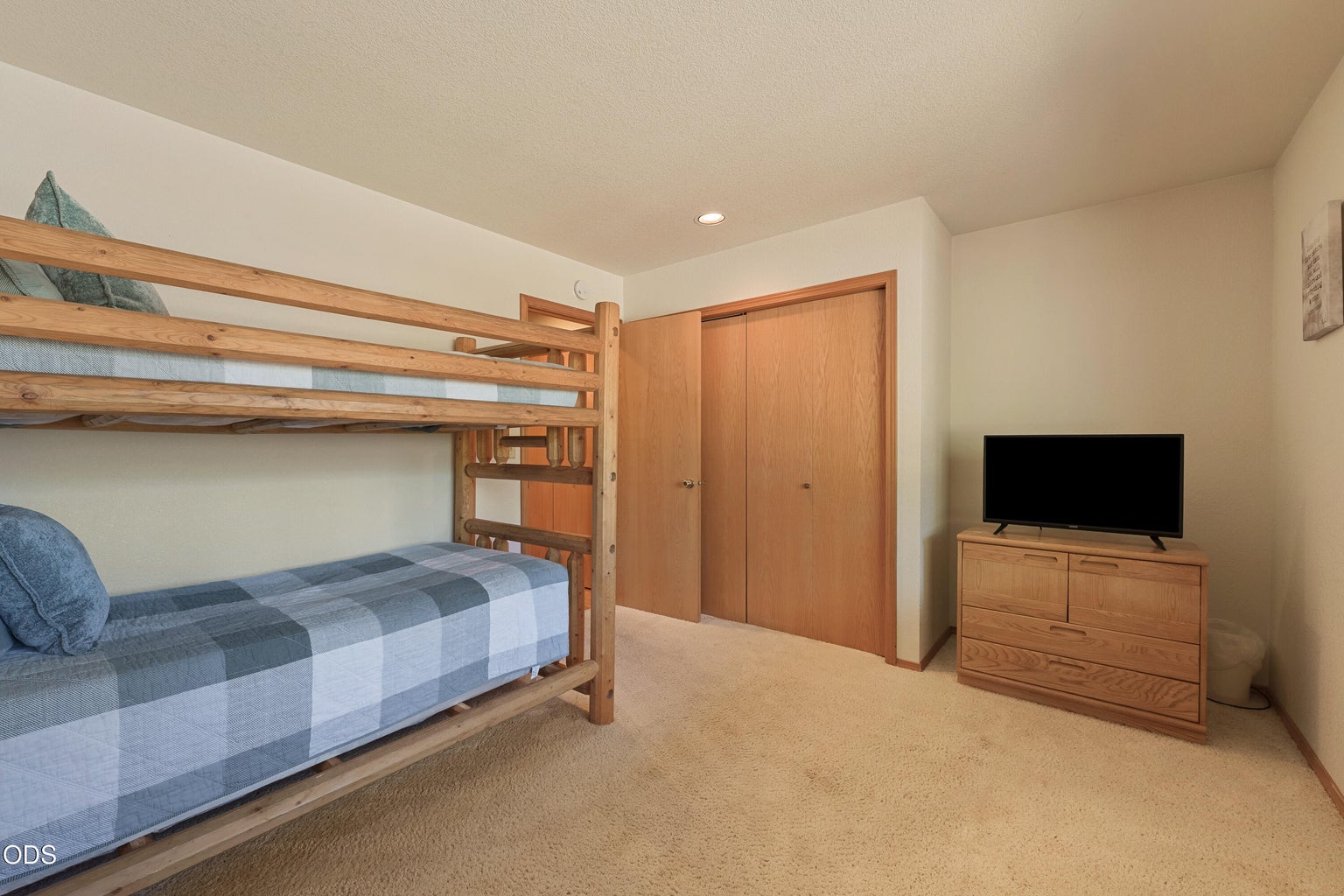 Lower level guest bedroom