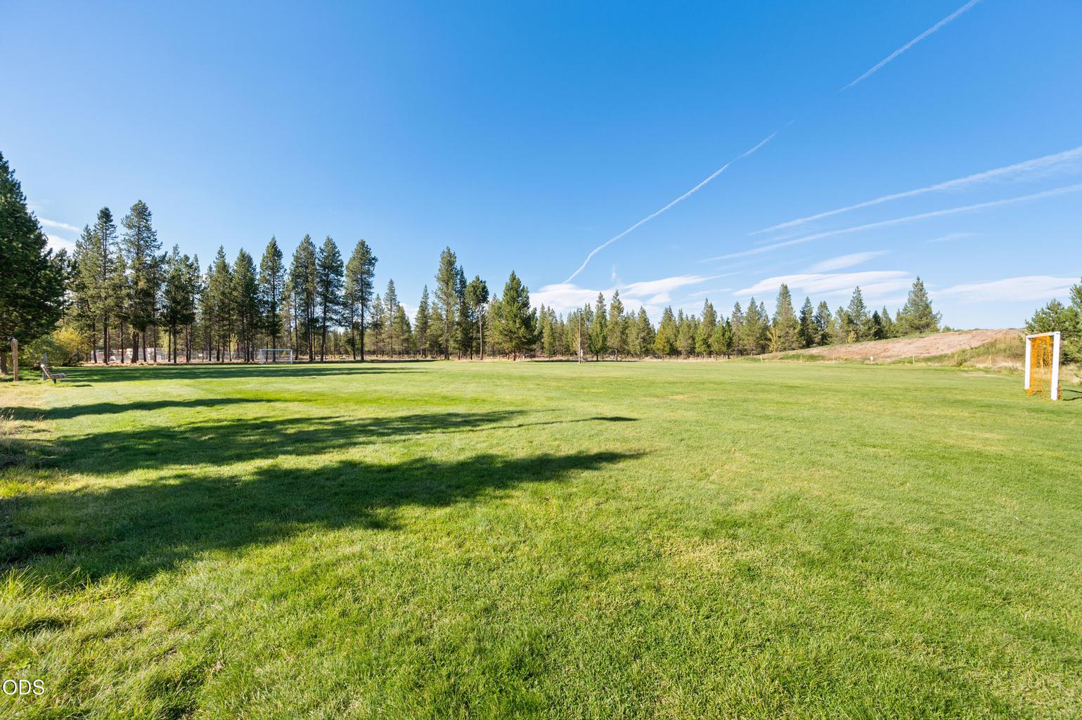 Photo of 51937 Lumberman 29 of 33