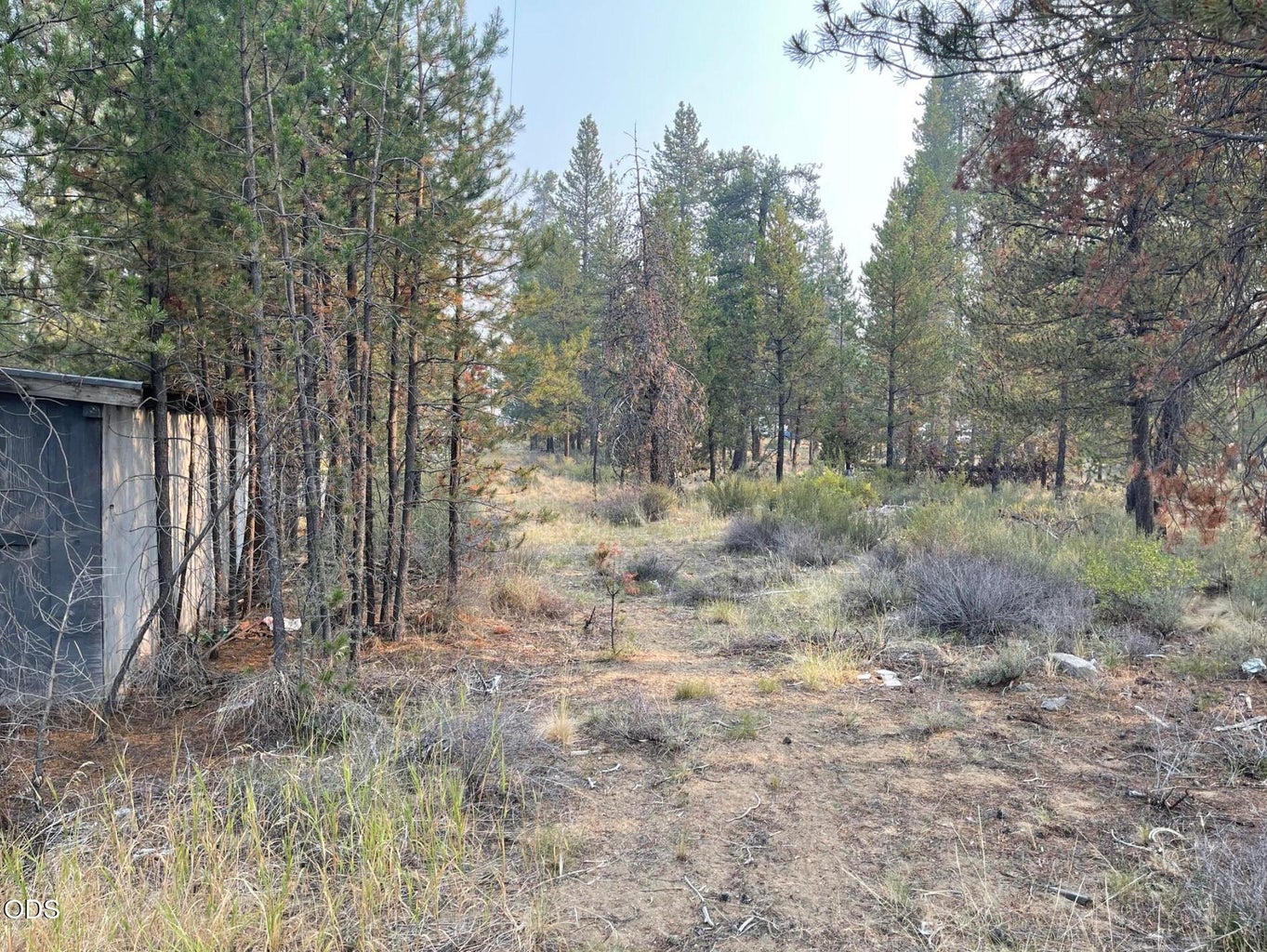 Photo of 52702 Highway 97 4 of 8
