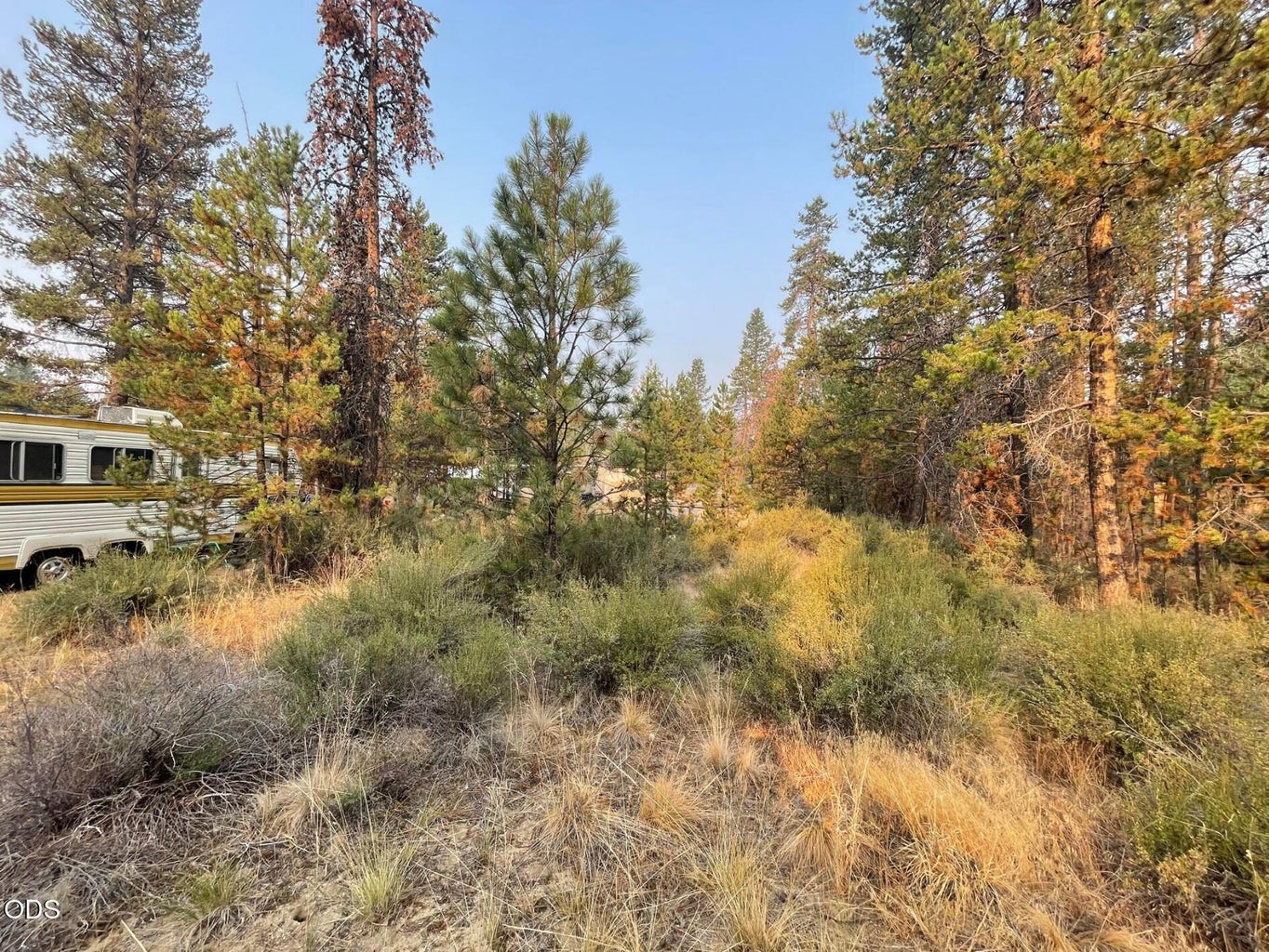 Photo of 52702 Highway 97 5 of 8