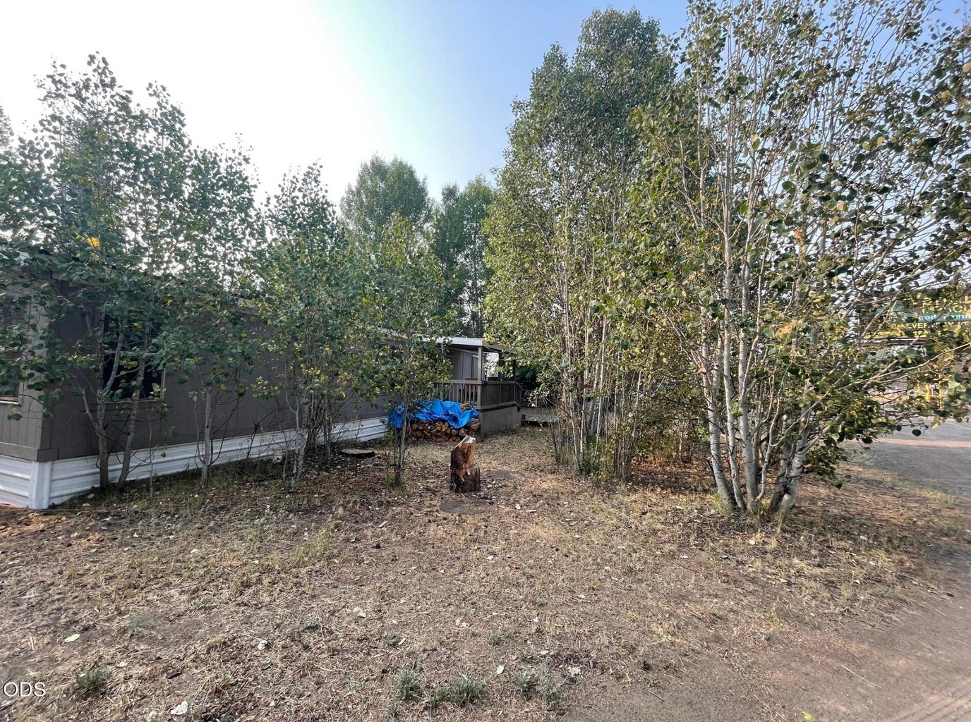 Photo of 52702 Highway 97 8 of 8