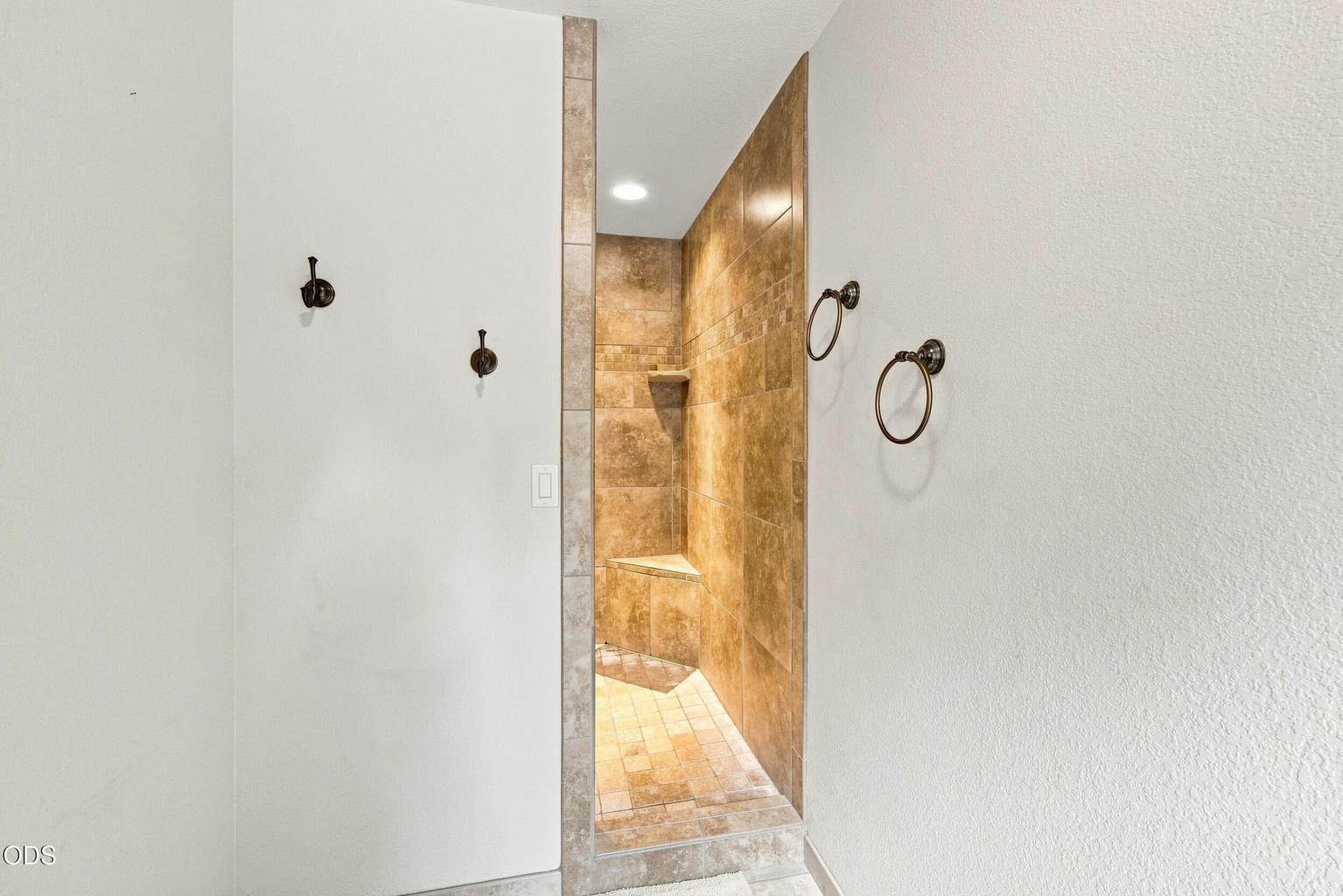 Primary Walk in Shower