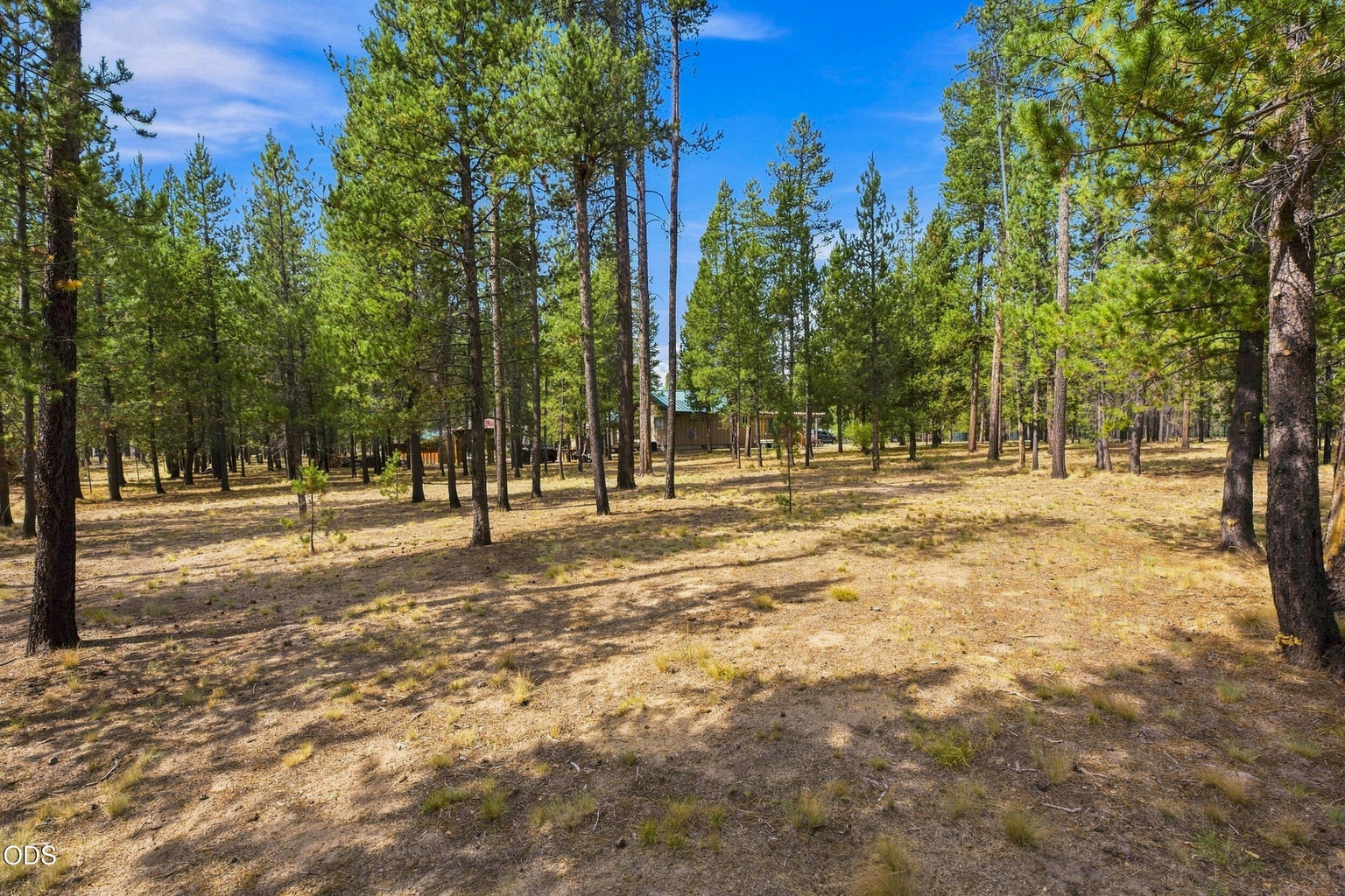 Photo of 52216 Moose Road 69 of 82