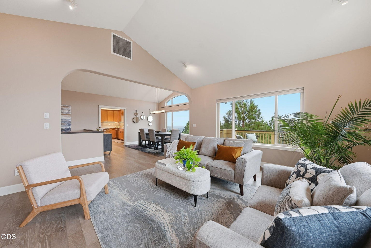 Vaulted Great Room