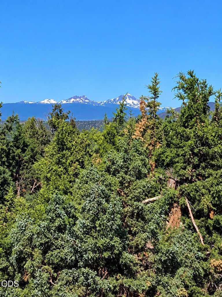 Photo of 14951 SE Cayuse Road 5 of 38