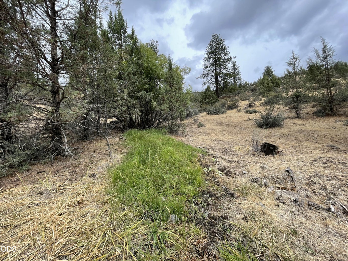 Photo of 3335 NE McKay Creek Road 37 of 50