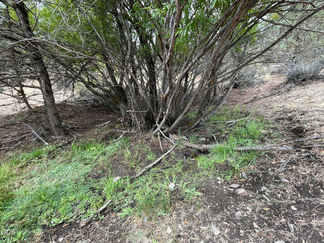 Photo of 3335 NE McKay Creek Road 38 of 50