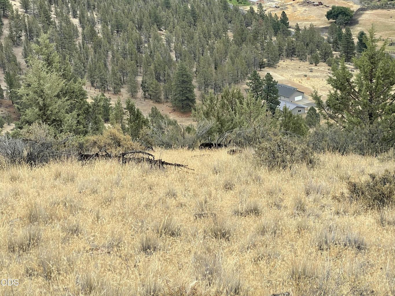 Photo of 3335 NE McKay Creek Road 41 of 50
