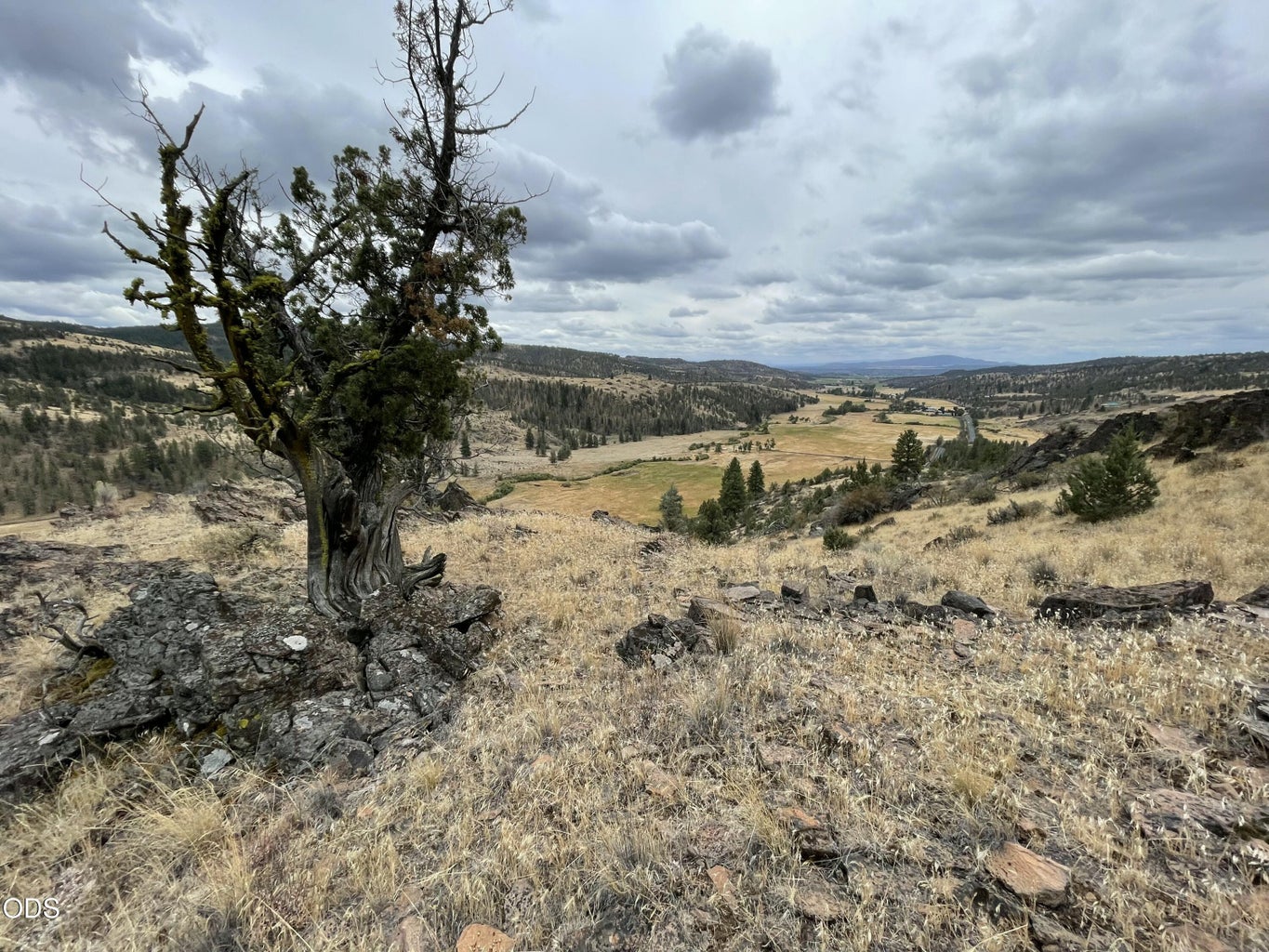Photo of 3335 NE McKay Creek Road 44 of 50