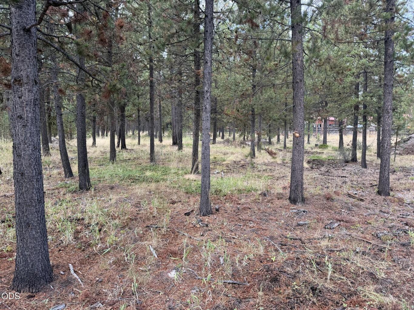 Photo of 17114 Indio Road 6 of 9