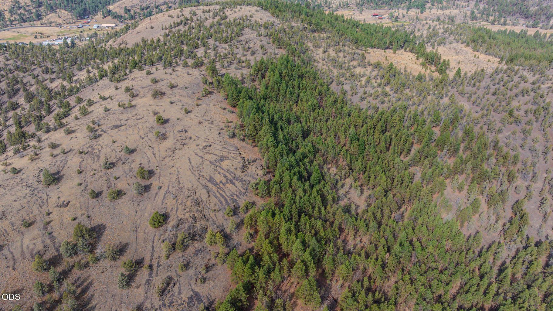 Photo of 3335 NE McKay Creek Road 49 of 50