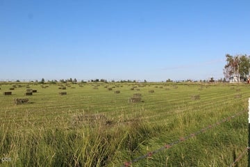 Photo of 4799 SW Williams Road 56 of 77