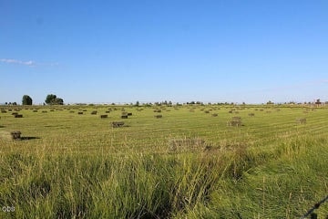 Photo of 4799 SW Williams Road 5 of 77