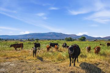 Photo of 4799 SW Williams Road 66 of 77