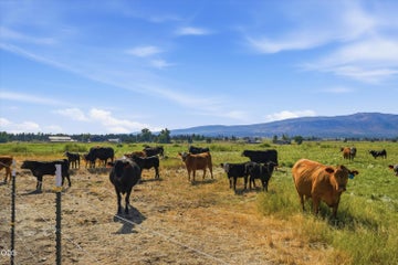 Photo of 4799 SW Williams Road 68 of 77
