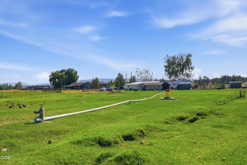 Photo of 4799 SW Williams Road 62 of 77