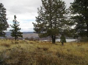 851 Bailey Mountain
