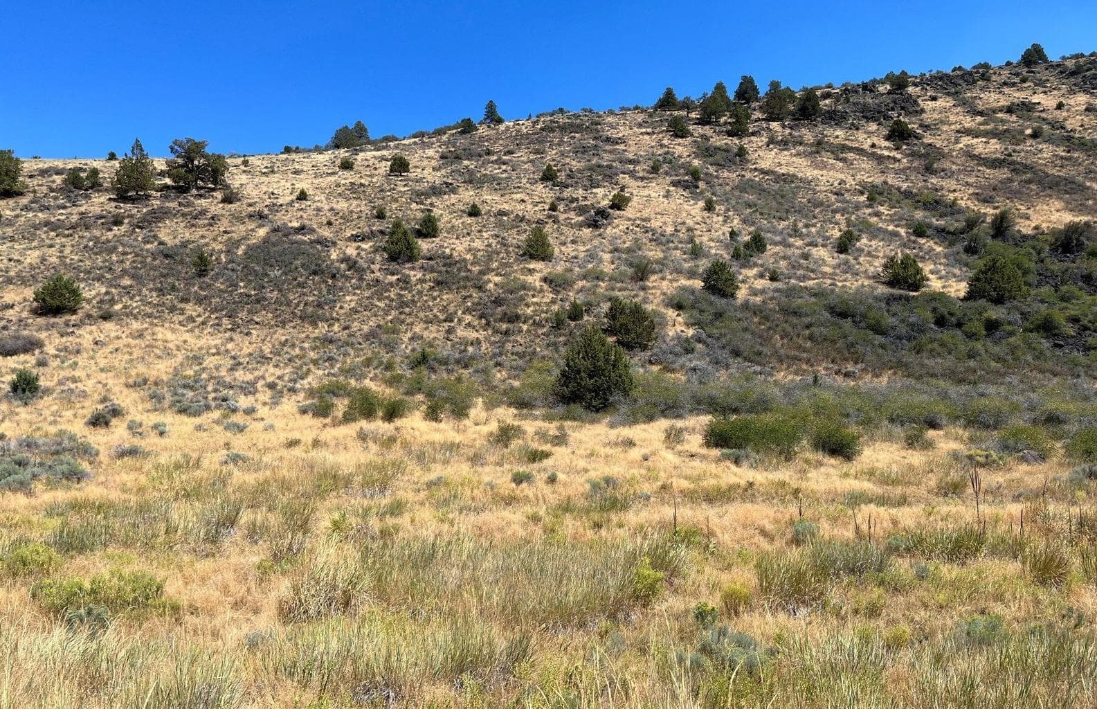 Lot 82 Peregrine Heights