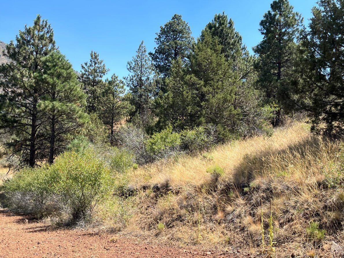 Lot 51 Peregrine Heights