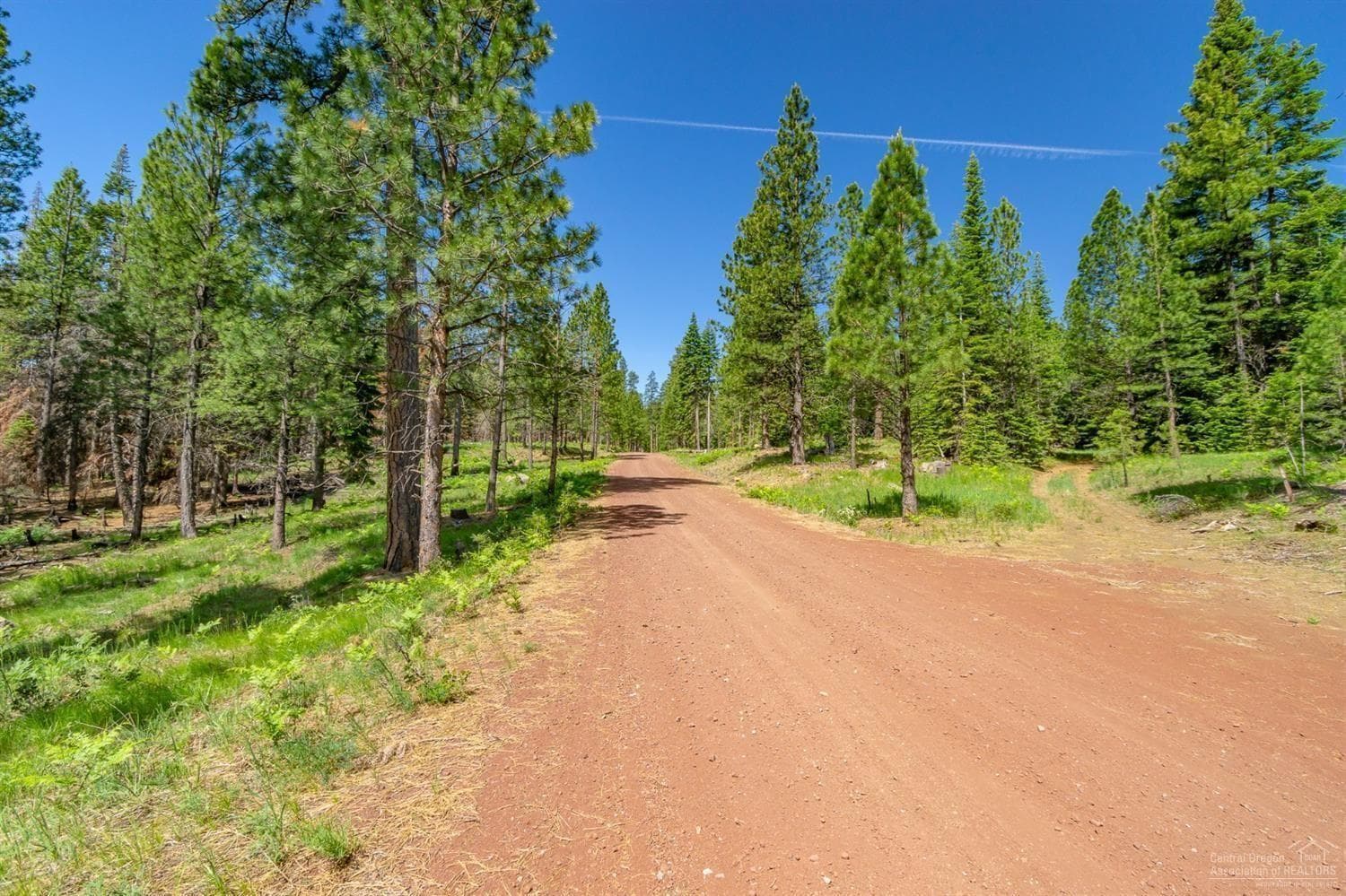 Lot-500 Forest Service