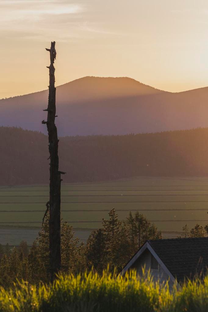 1064 Timber Mountain