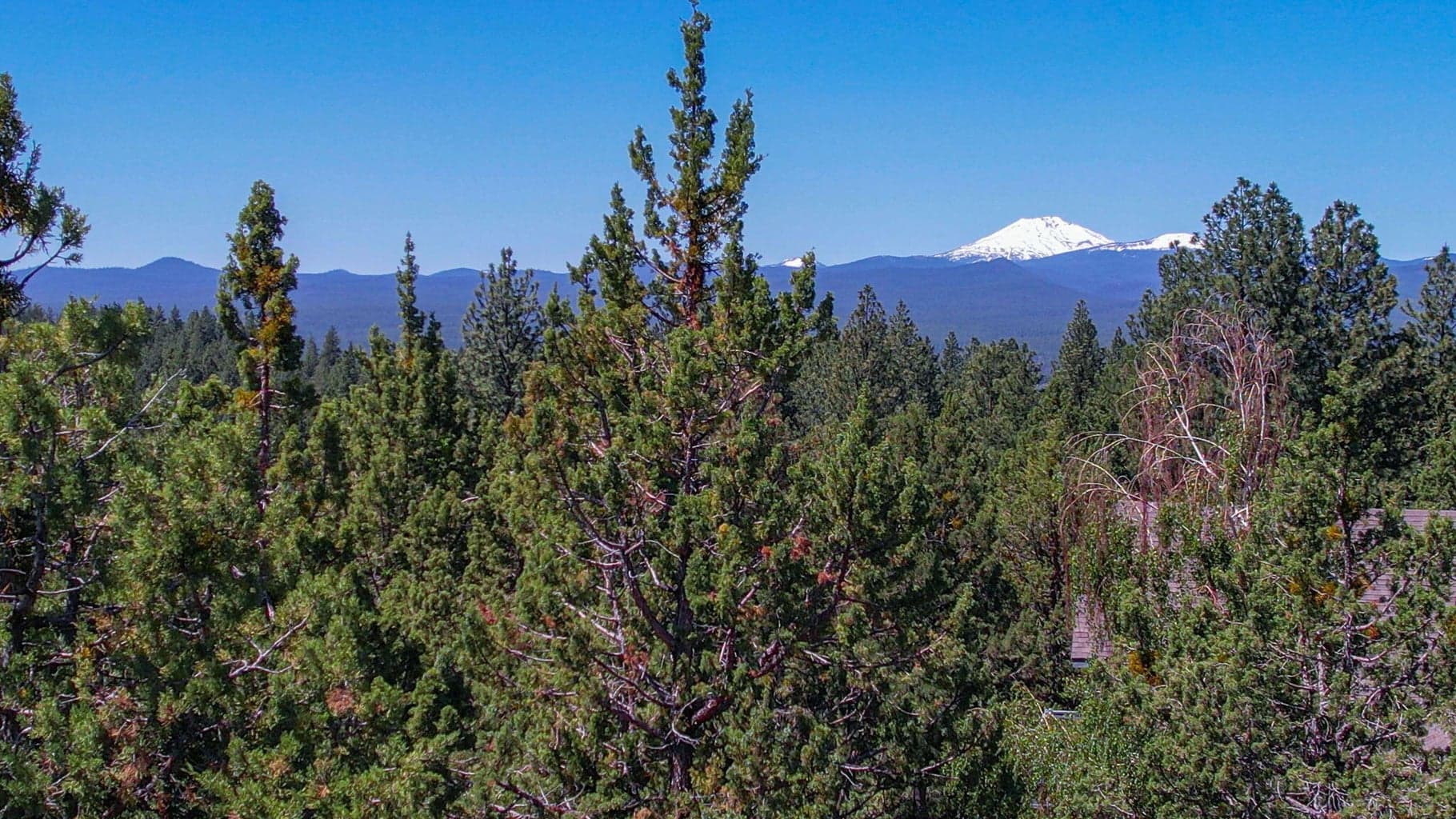 2616 Gill, Bend, OR, 97703 property photo