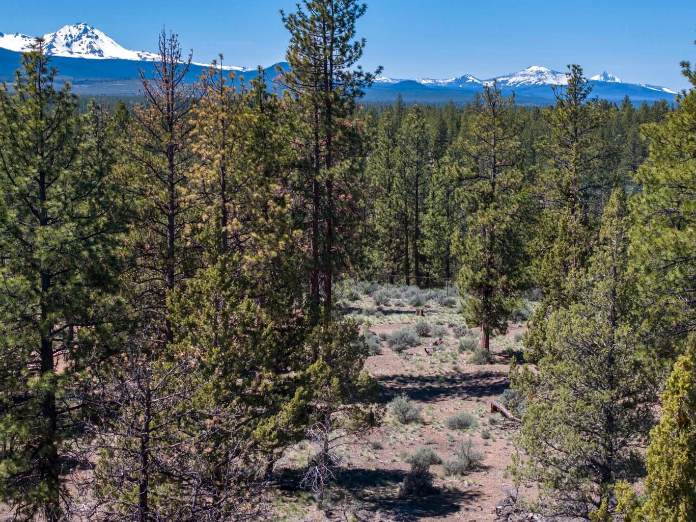 62947 Levins, Bend, OR, 97703 property photo