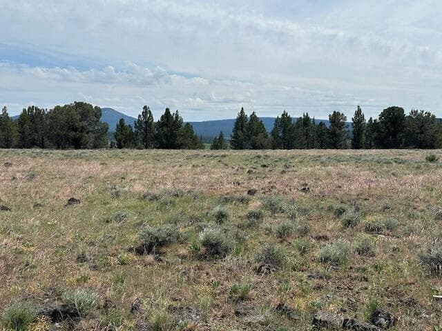 Rim Drive, Sprague River, 97639