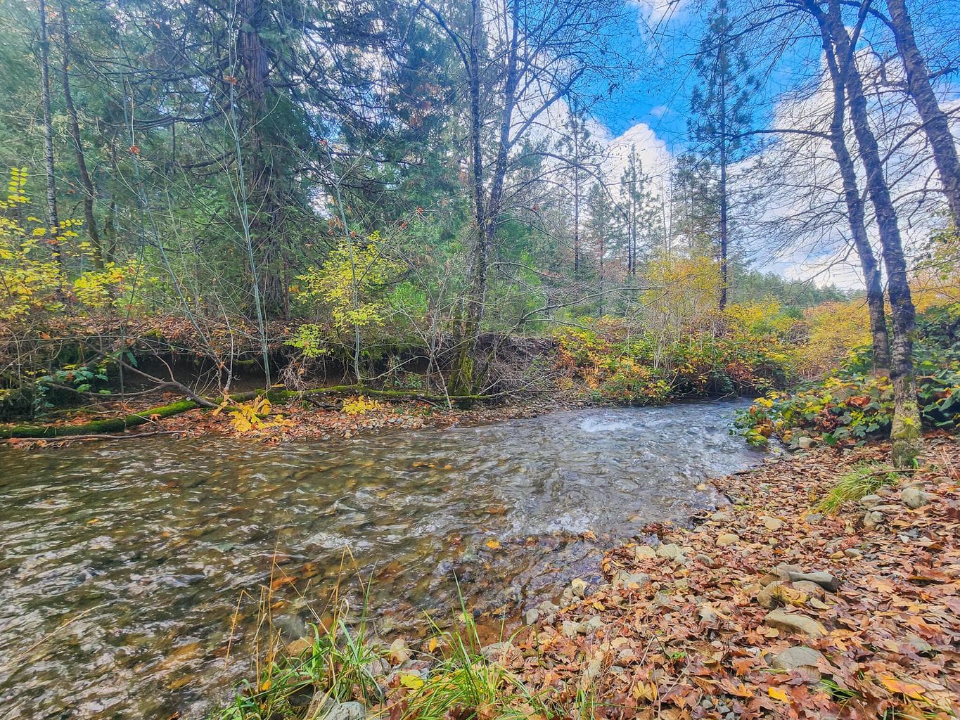 1338 Thompson Creek