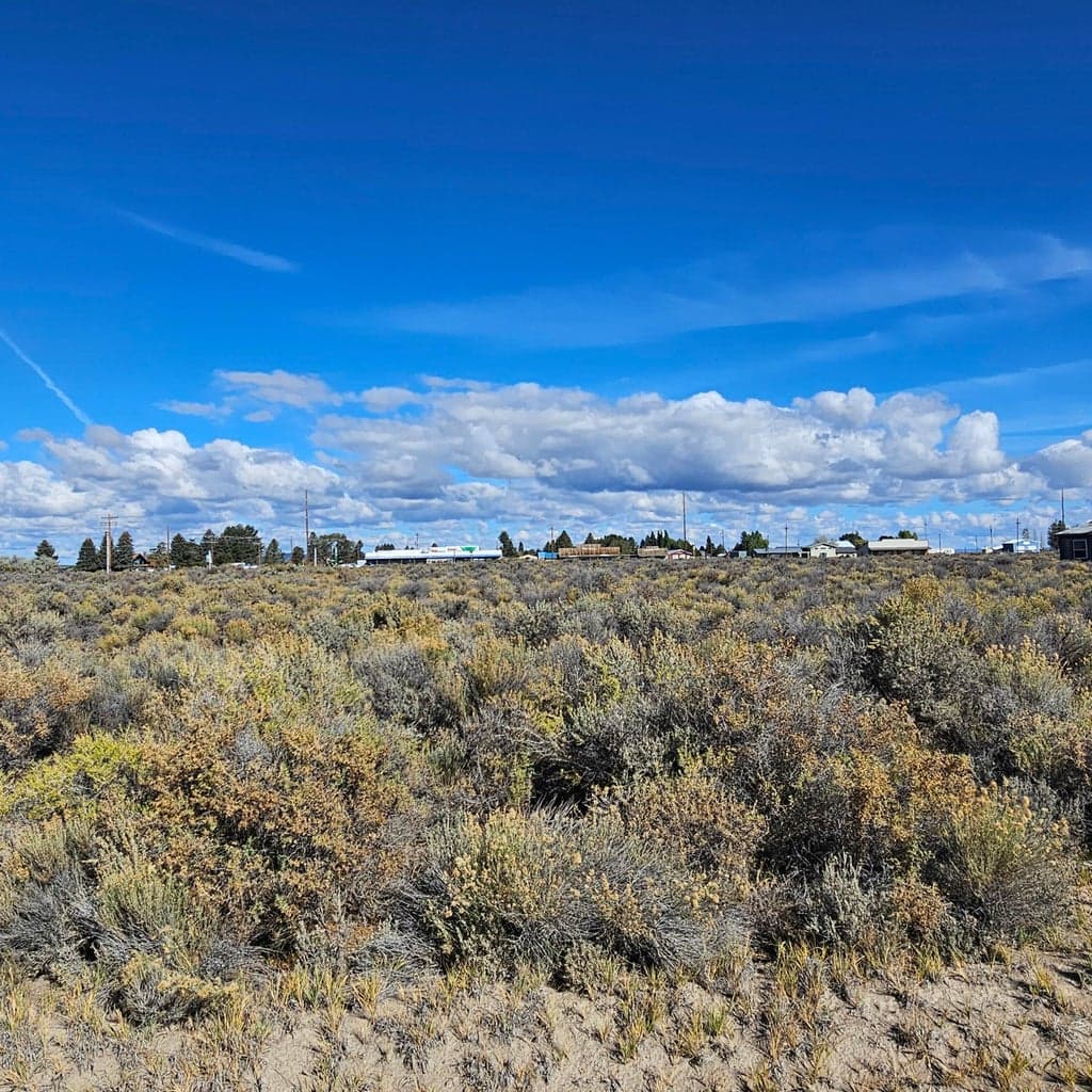 Cedar, Christmas Valley, 97641