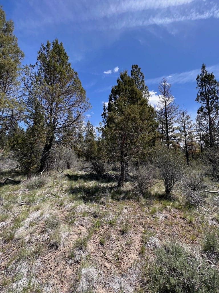 Glendale, Beatty, 97621