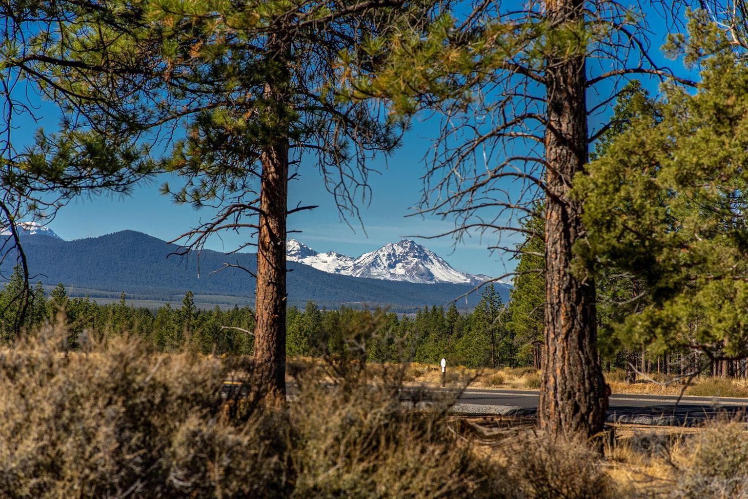 Concannon, Bend, OR, 97703 property photo