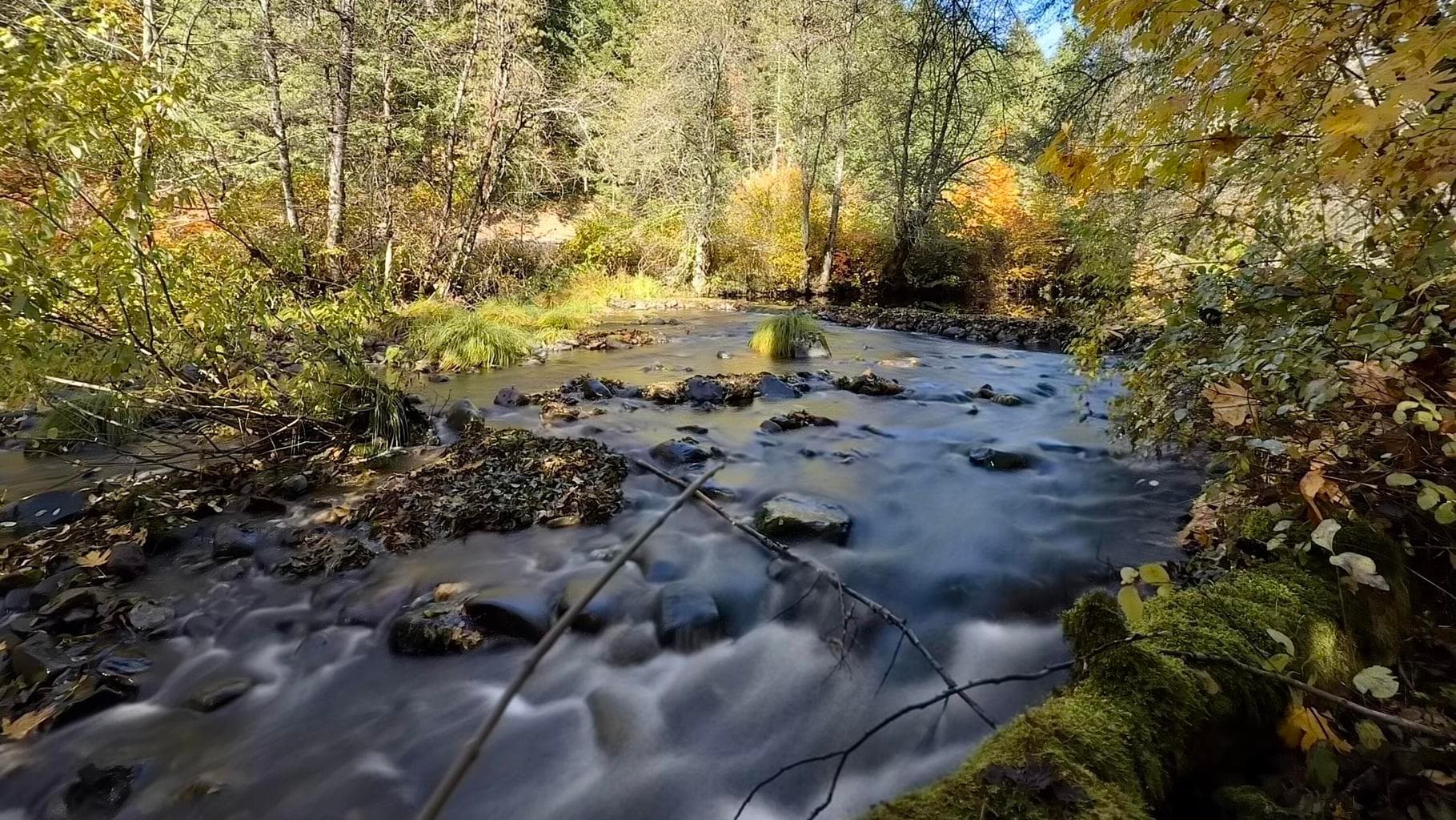 52 Dodes Creek