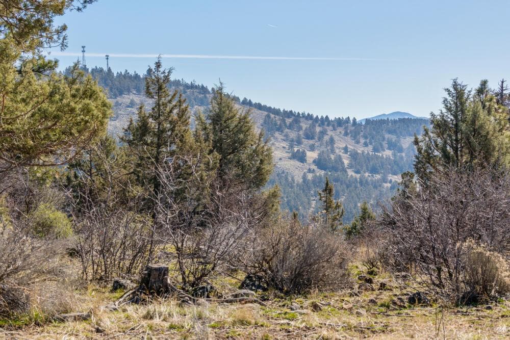 957 Bailey Mountain