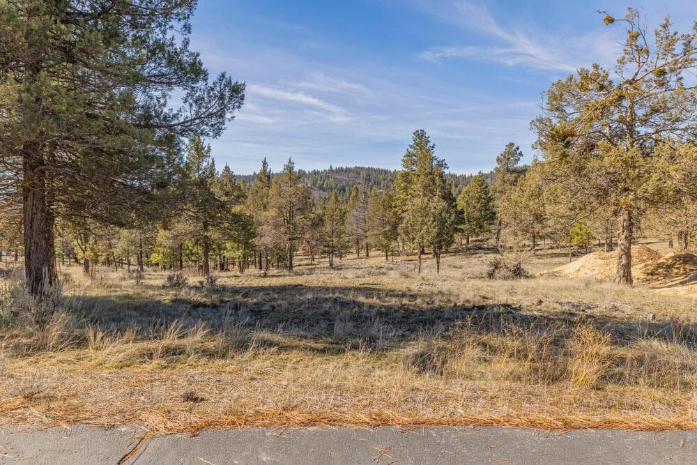 5768 Engleman Spruce