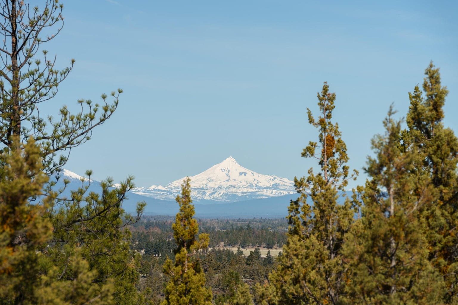1784 Wild Rye, Bend, OR, 97703 property photo