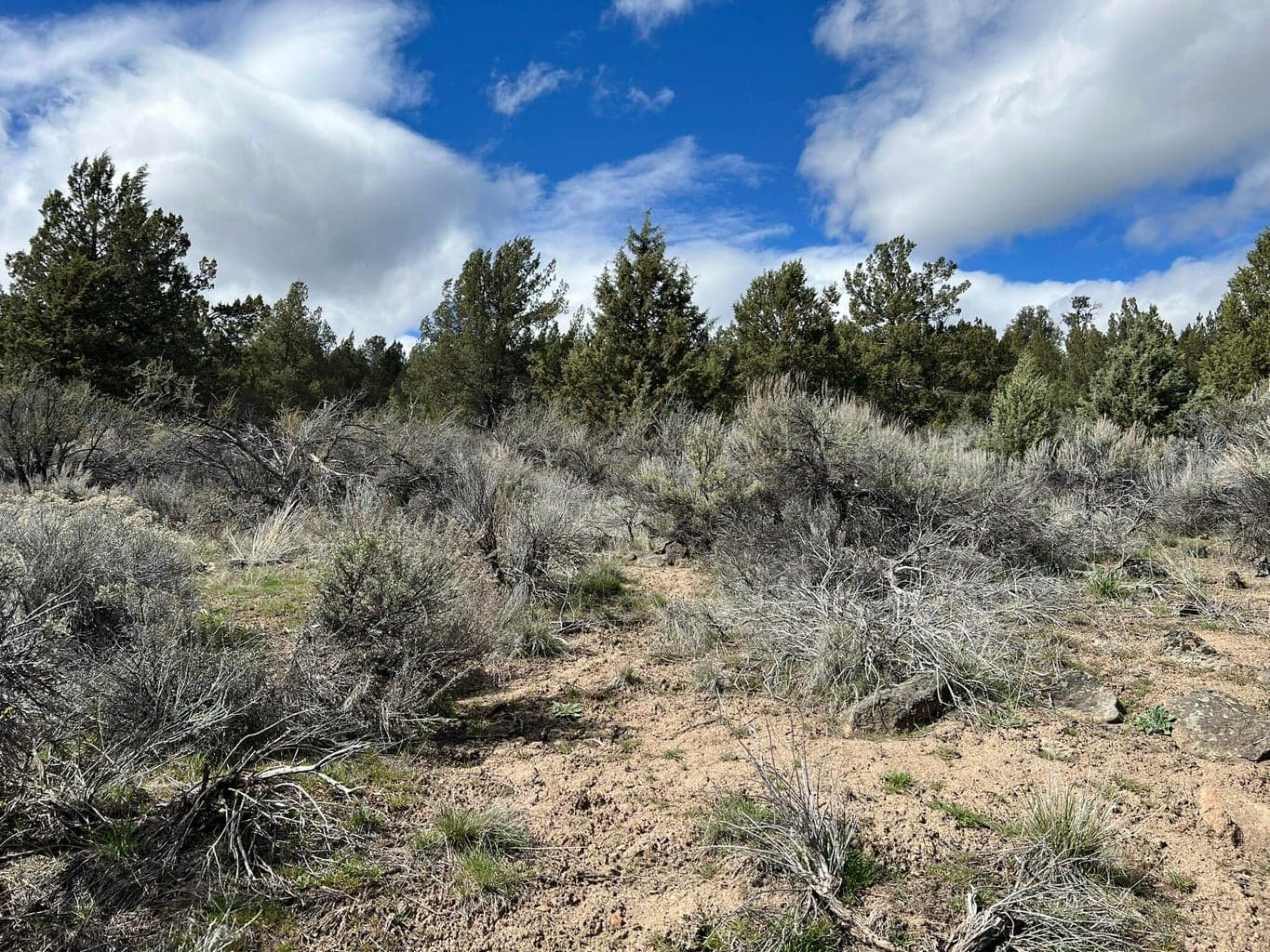 0 Shasta, Sprague River, 97639